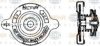 BEHR HELLA SERVICE 8MY 376 742-151 Cap, radiator